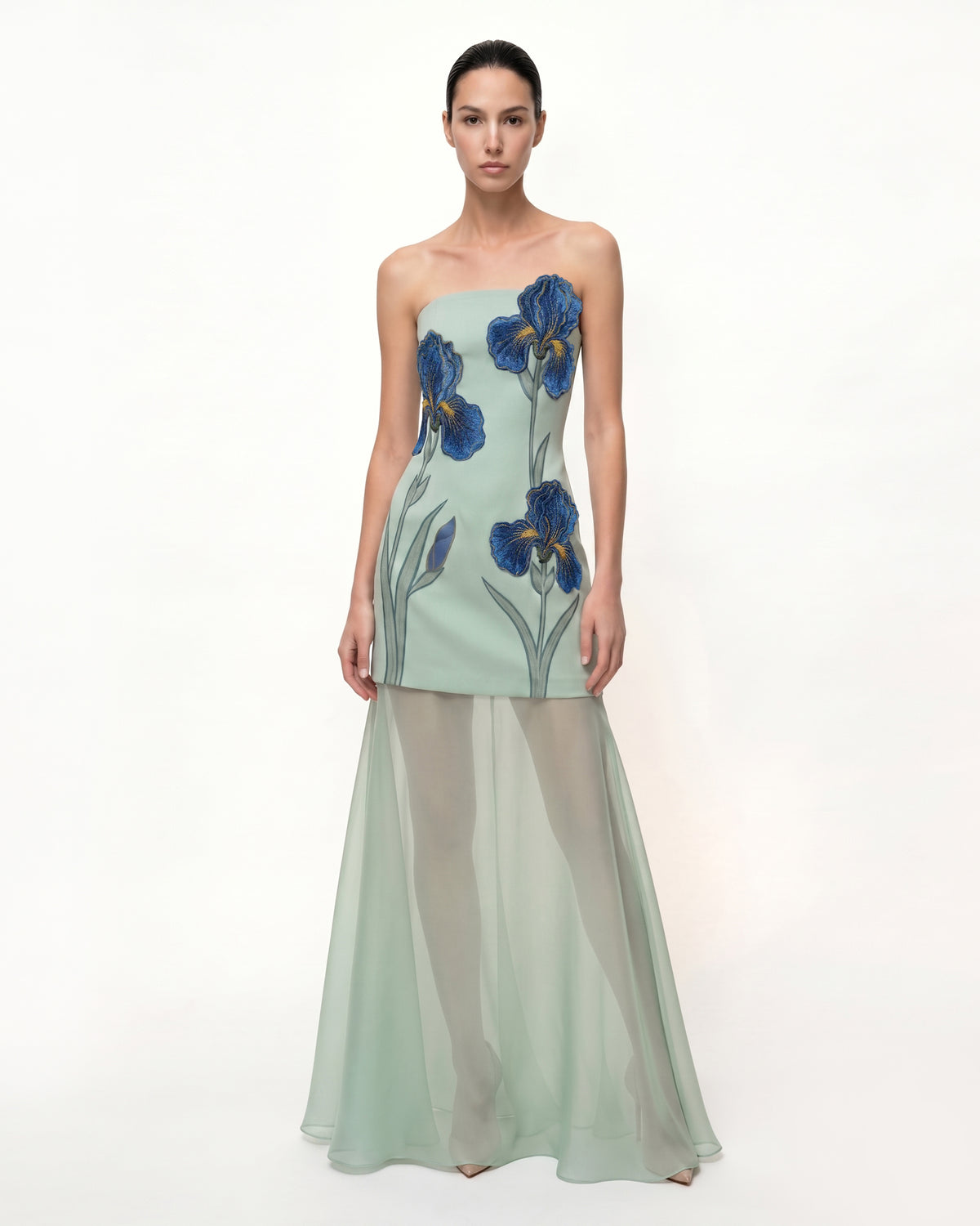 Iris Embroidered Strapless Sheer Overlay Maxi Dress - Sage Green - view 1