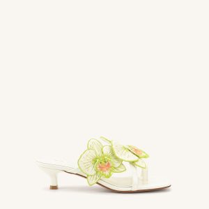 Serena Orchid Embroidered Toe Ring Heeled Sandals - Ivory Green - view 1
