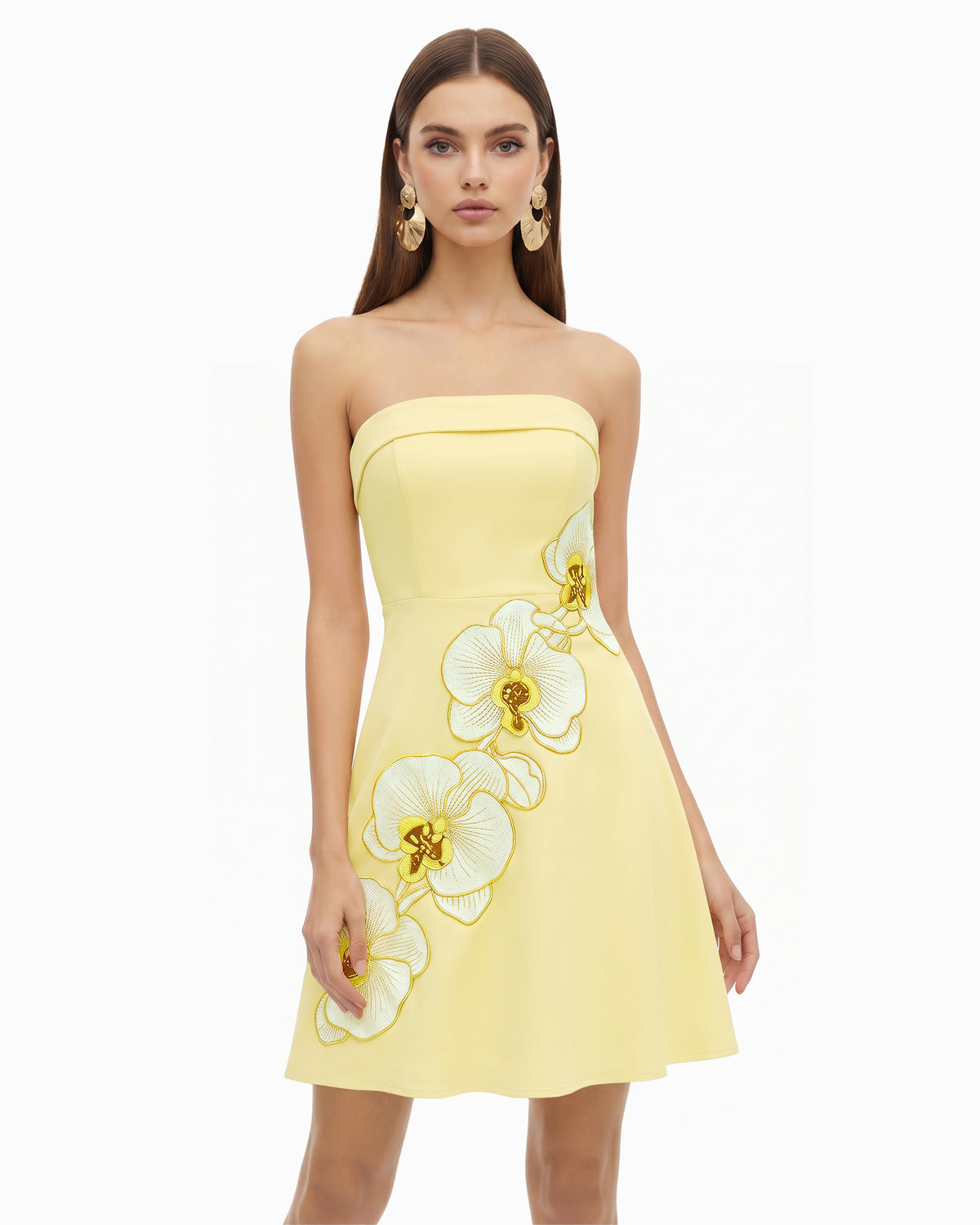 Orchid Embroidered Strapless A-Line Midi Dress - Pale Yellow - view 1