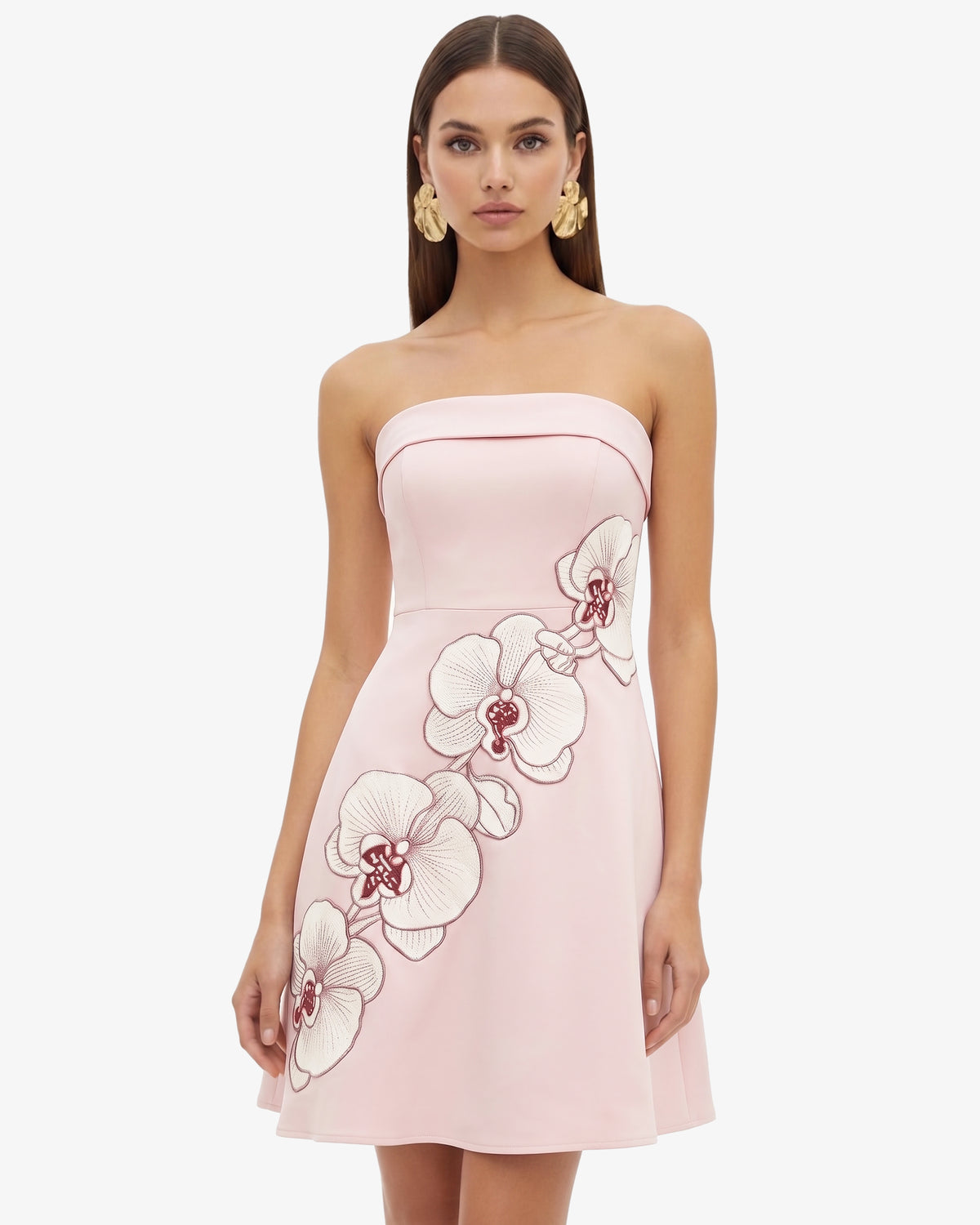 Orchid Embroidered Strapless A-Line Midi Dress - Blush Pink - view 1