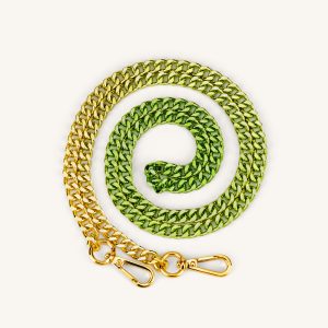 Aria Gradient Chain Strap - Green - view 1