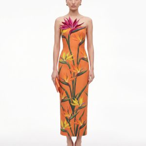 Bird of Paradise Appliqué Strapless Column Midi Dress - Orange
